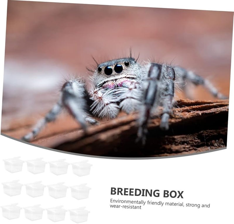 12 قطعة صندوق زواحف شفاف، موطن ثعابين محمول بتصميم قابل للتنفس للعناكب وأبراص الحيوانات الأليفة - Image 3